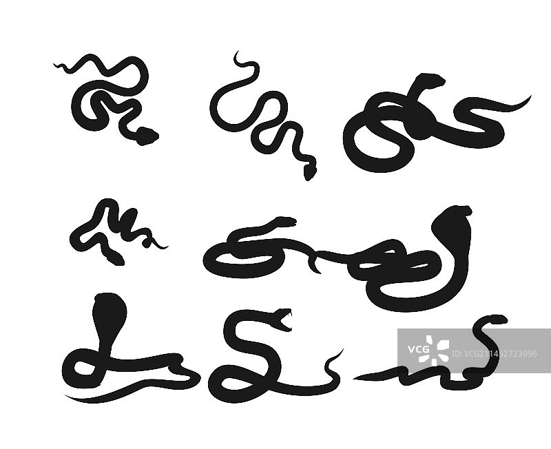 蛇黑色剪影合集图片素材