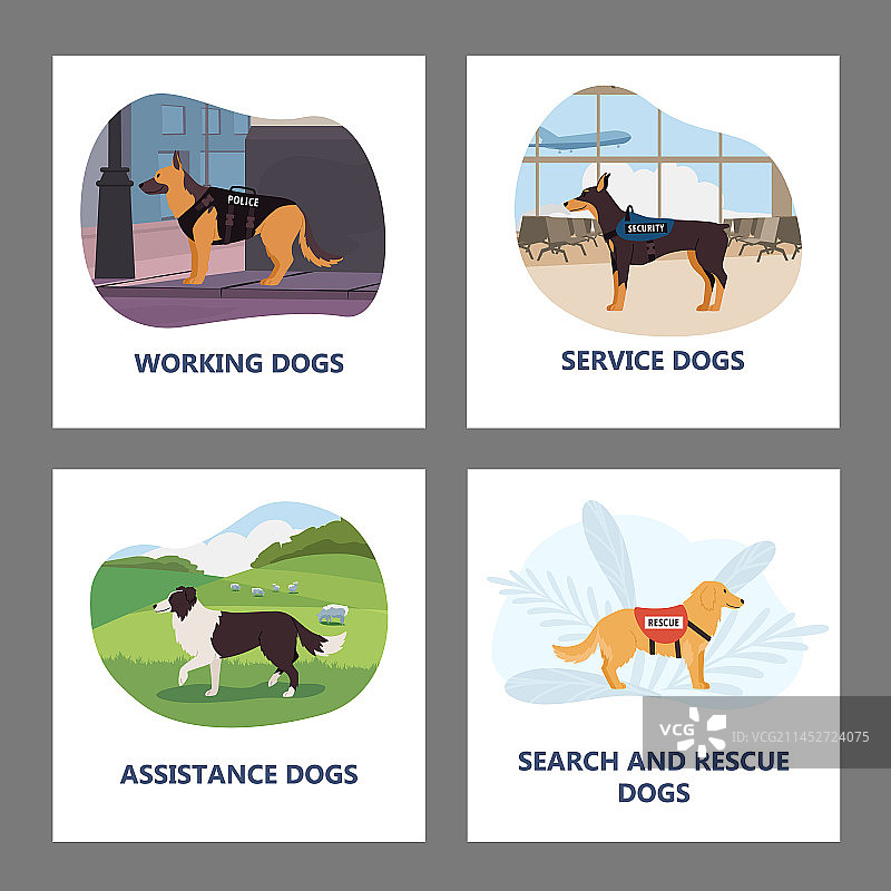 救援和服务犬协助banner图片素材