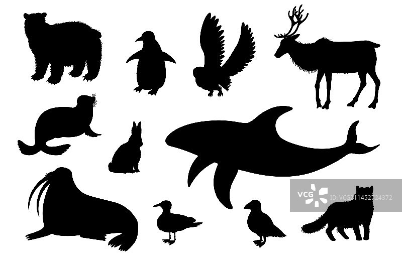 北极动物剪影扁平风格合集图片素材