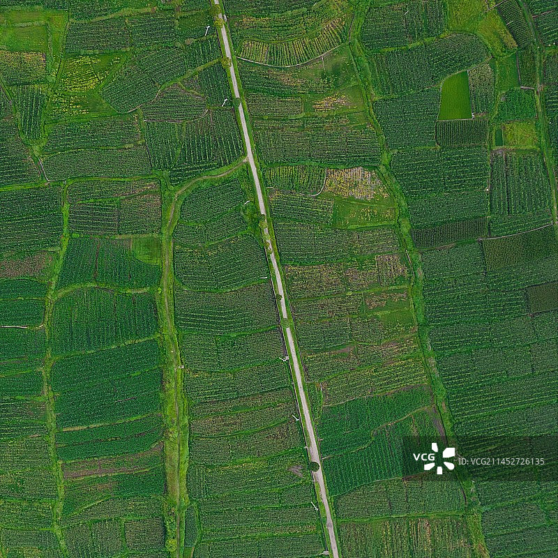 线条之美图片素材