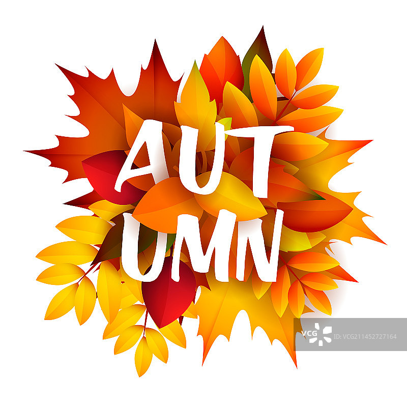 秋季树叶宣传单设计图片素材
