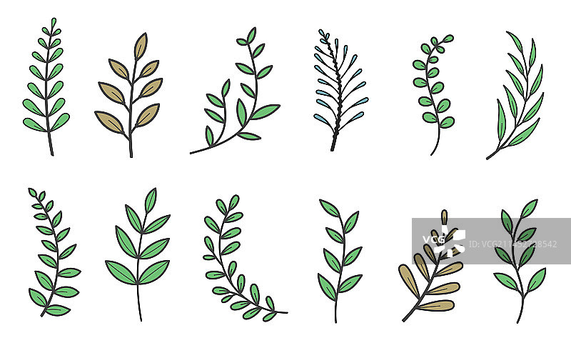 彩色线条树枝树叶图集图片素材