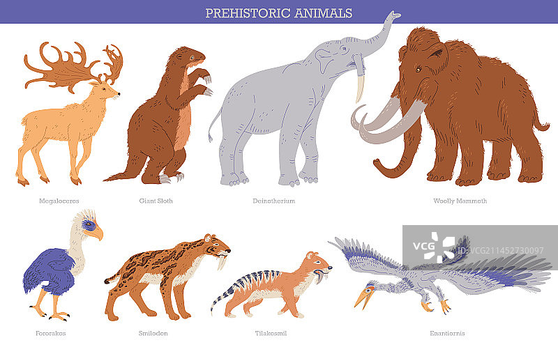 史前时期元素套装图片素材