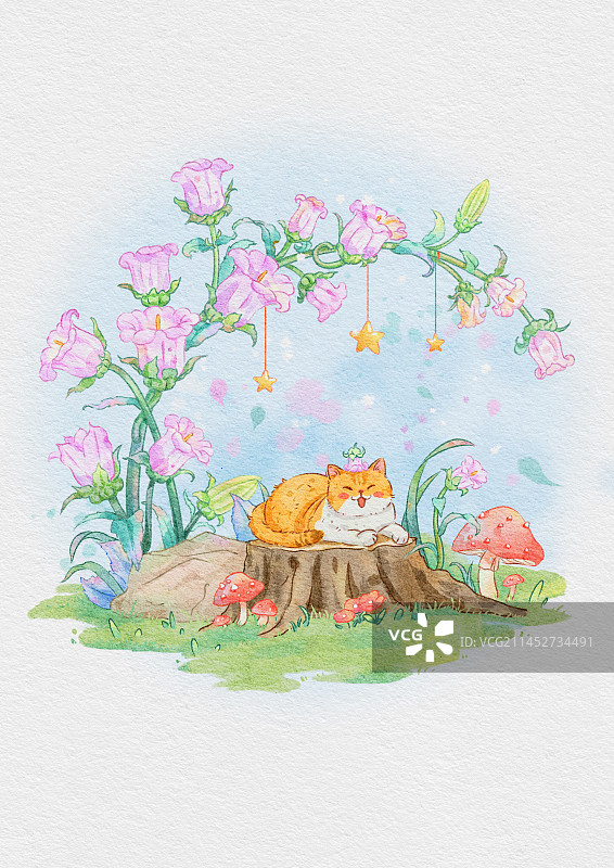 风铃草图片素材