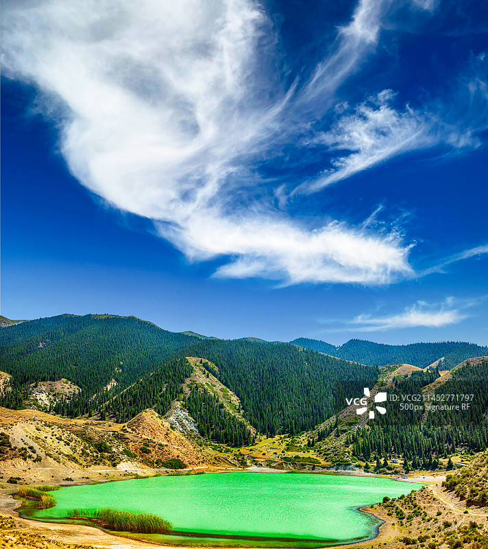 新疆精河县小海子风光图片素材