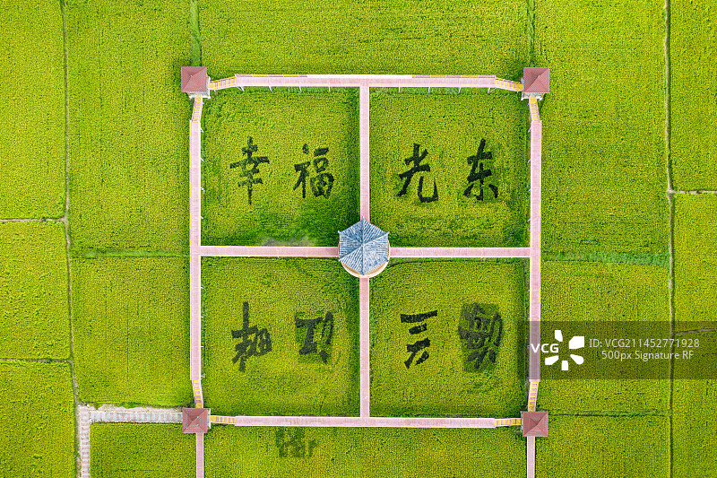 航拍吉林省延边州海兰屯稻田图片素材