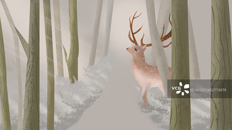 林中之鹿图片素材