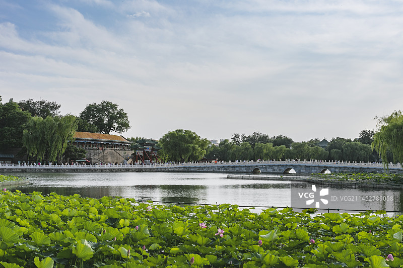 北海荷花池图片素材
