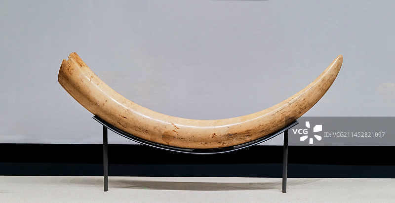 象牙饰品图片素材