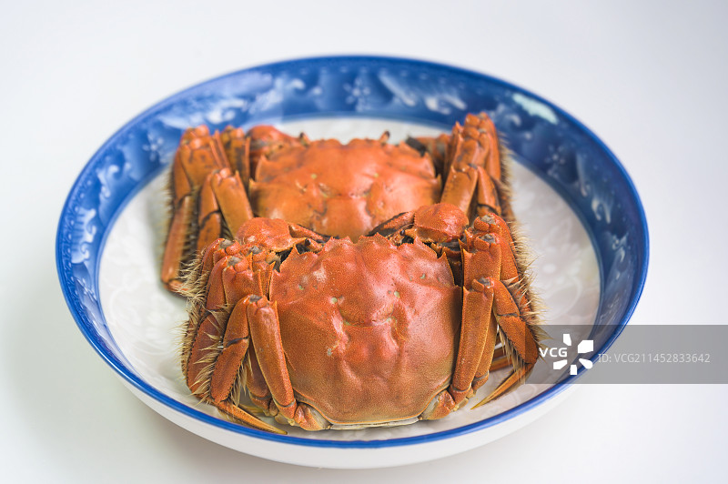 大闸蟹螃蟹 中秋节图片素材