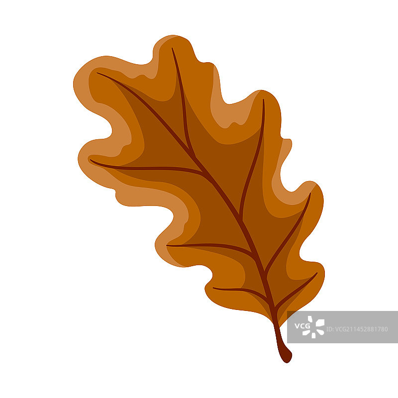 橡树叶装饰秋叶图片素材