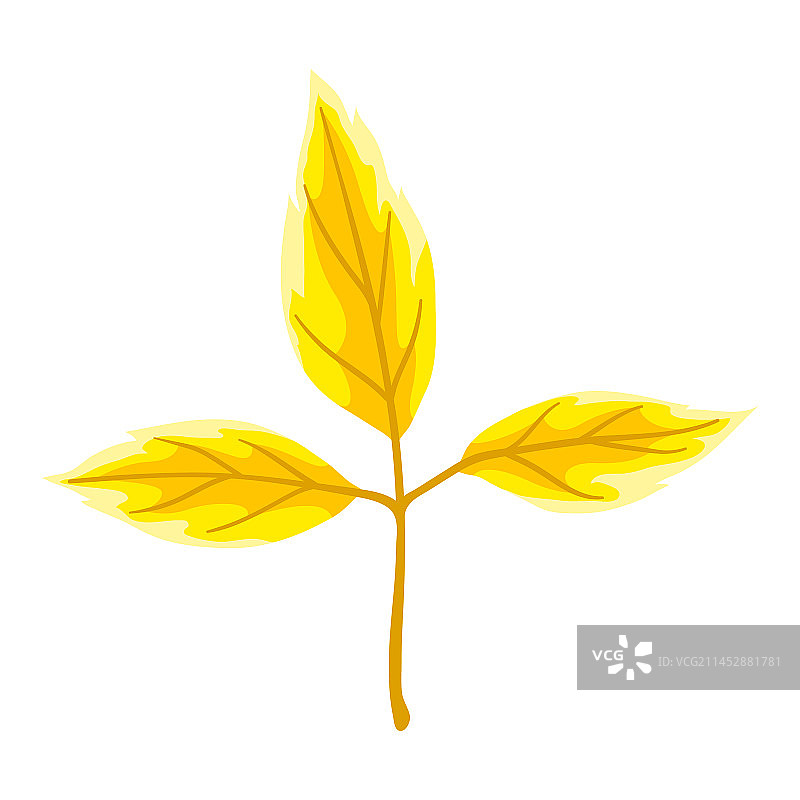 秋叶精美装饰图片素材