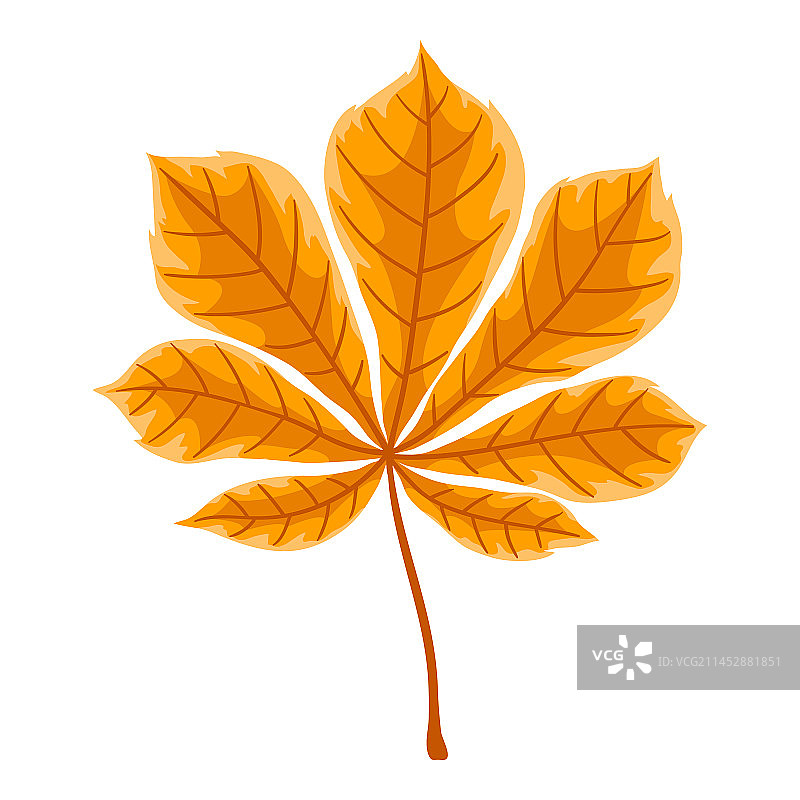 板栗叶装饰秋季图片素材