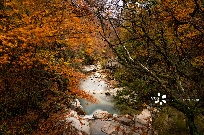 光雾山 | 红叶岩石流水瀑布秋季风光图片素材