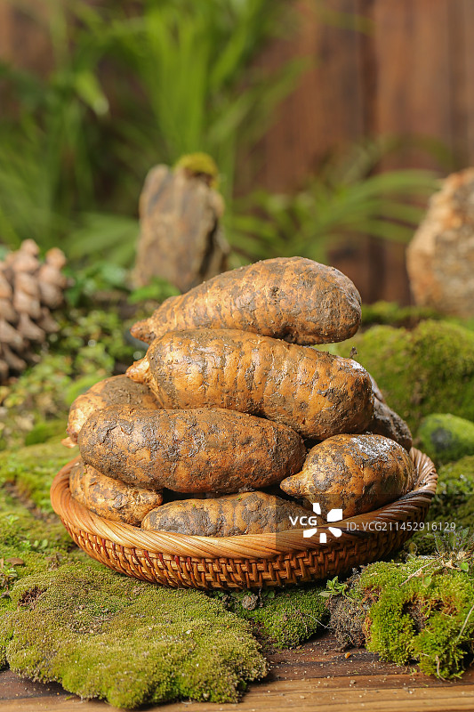 草地上的新鲜天麻图片素材