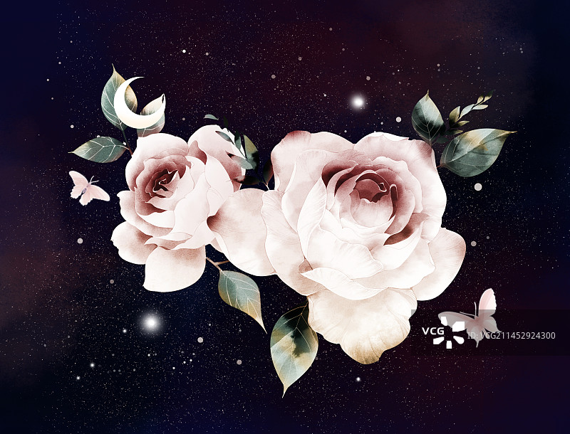 玫瑰，插画图片素材