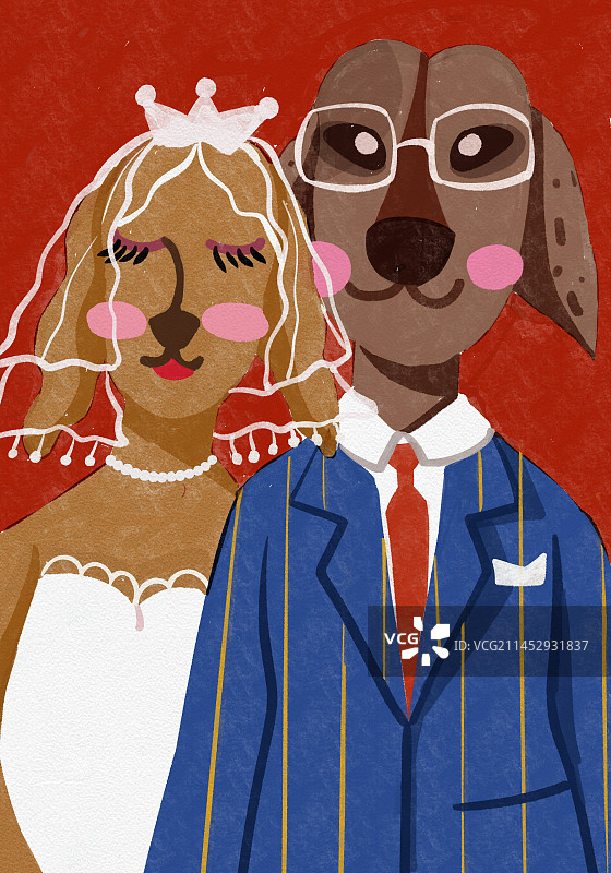 动物狗狗图片素材