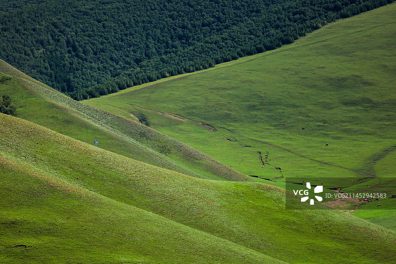 草原上丘陵起伏的局部图片素材
