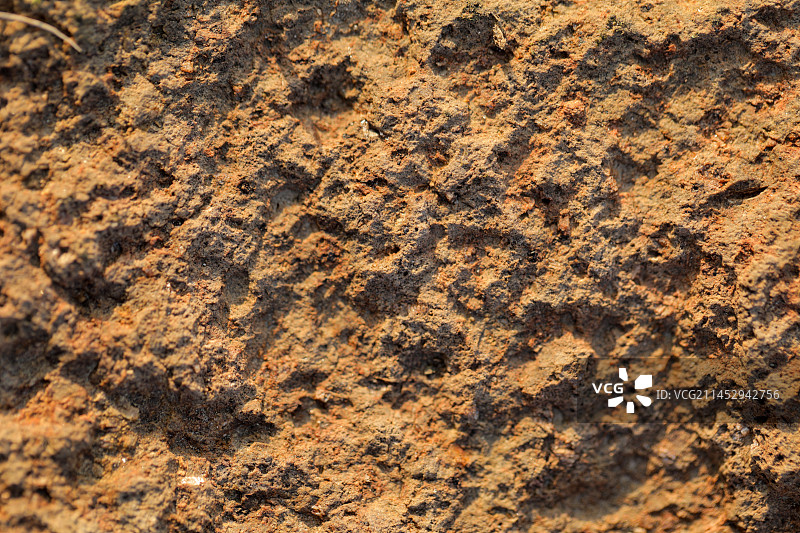 黄土砂砾纹理图片素材