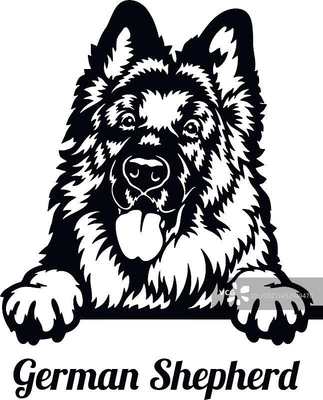 德国牧羊犬 - 偷看的犬种 - 宠物狗图片素材