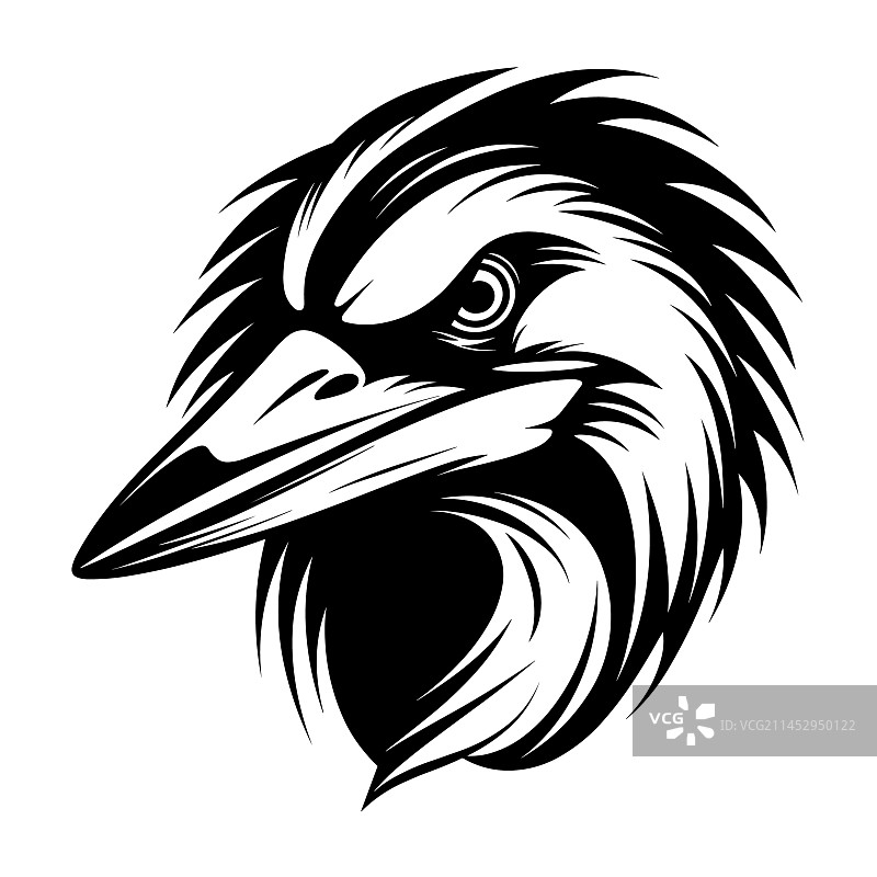 美丽的苍鹭头部轮廓图片素材