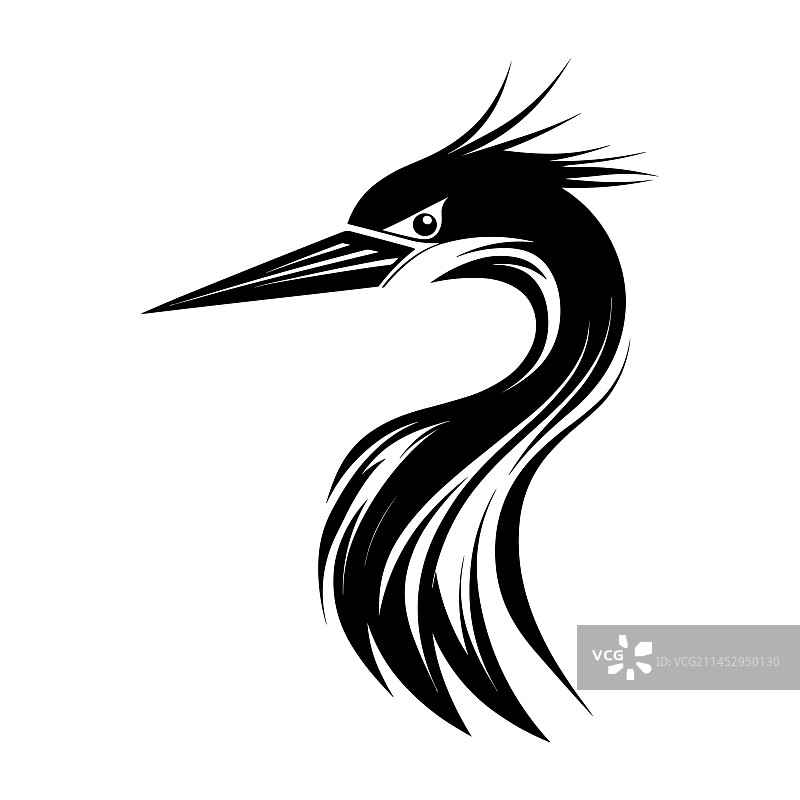 美丽的苍鹭头部轮廓图片素材