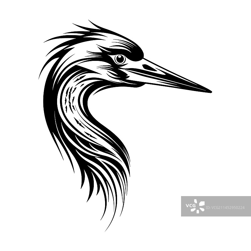 美丽的苍鹭头部轮廓图片素材