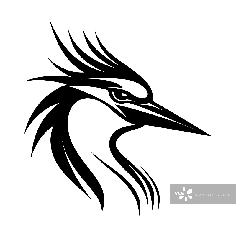 美丽的苍鹭头部轮廓图片素材