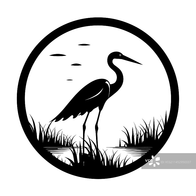 美丽的苍鹭头部轮廓图片素材