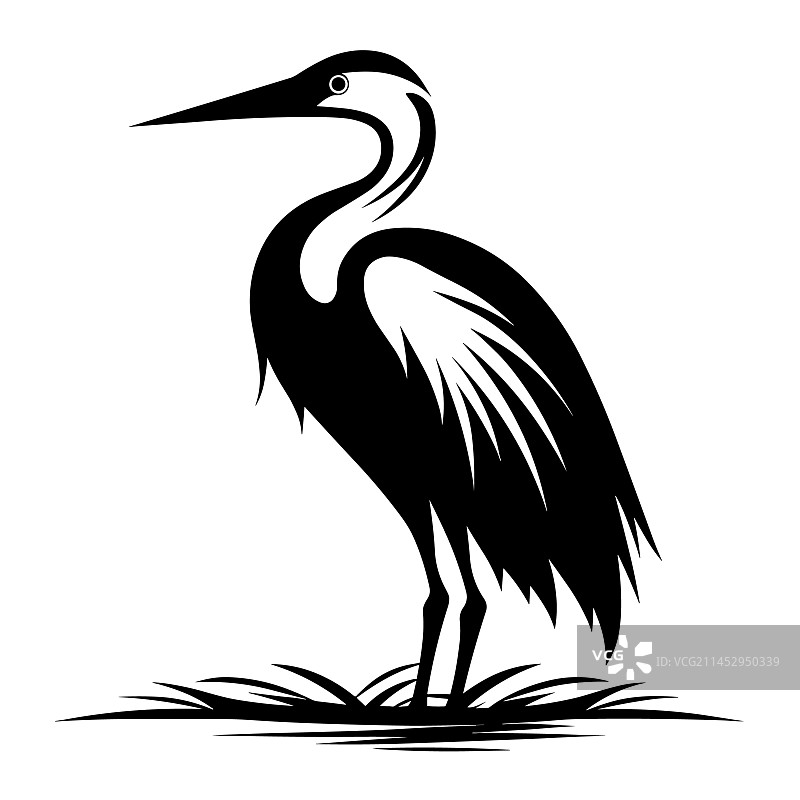 美丽的苍鹭头部轮廓图片素材