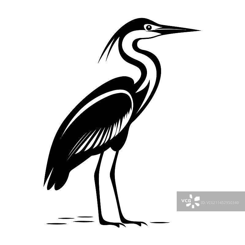 美丽的苍鹭头部轮廓图片素材
