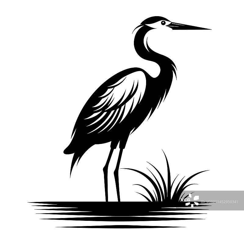 美丽的苍鹭头部轮廓图片素材