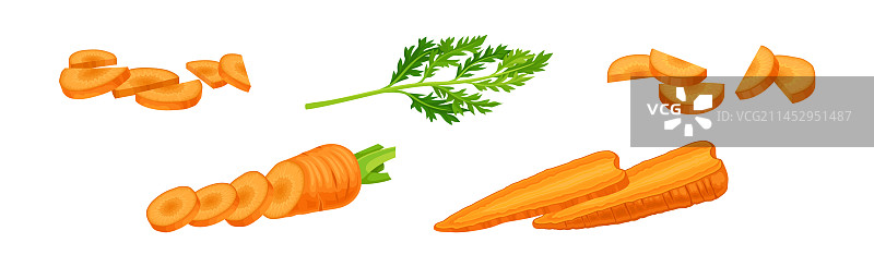 橙色根类蔬菜胡萝卜图片素材