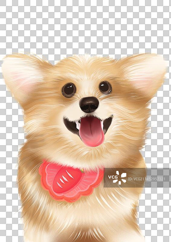 宠物猫狗图片素材