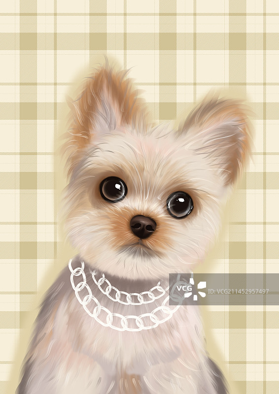 宠物猫狗图片素材