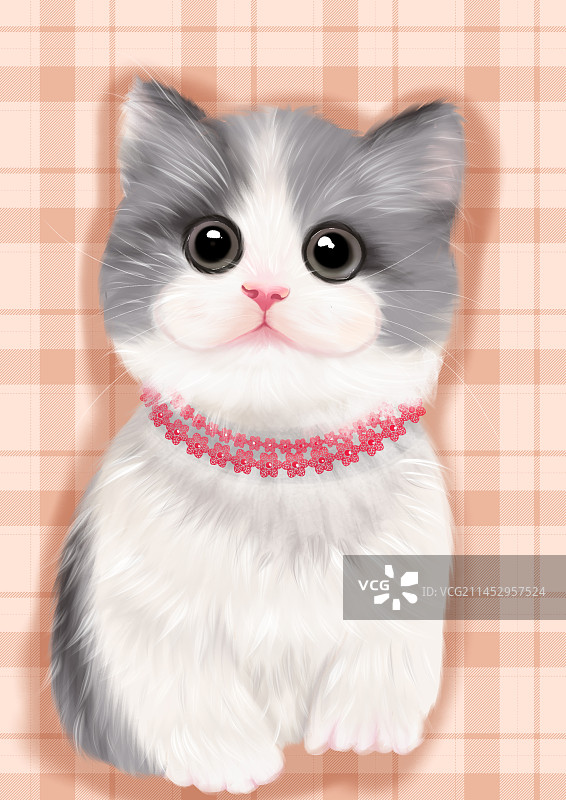 宠物猫狗图片素材