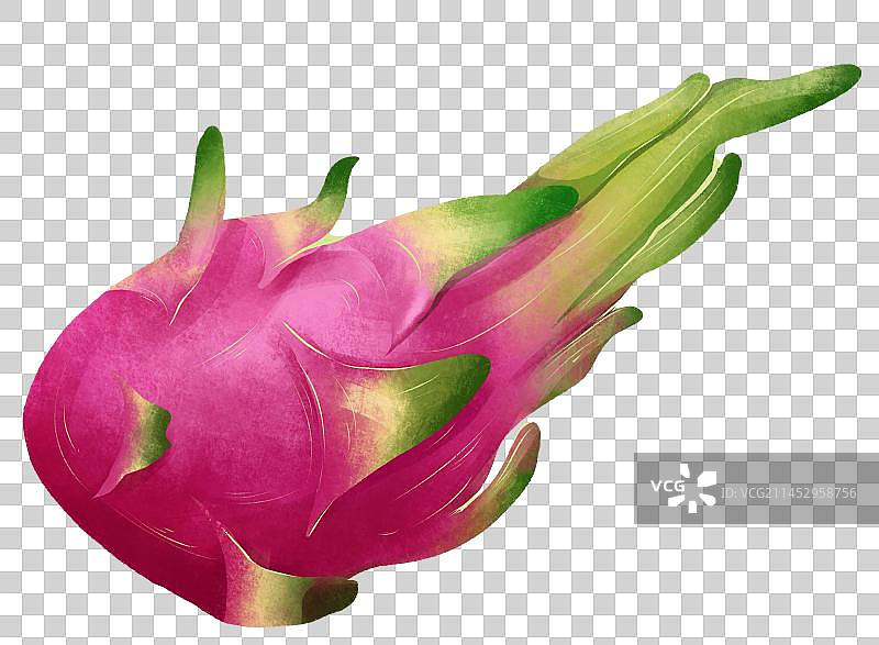 一整个火龙果图片素材