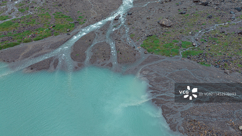 生命的脉动图片素材