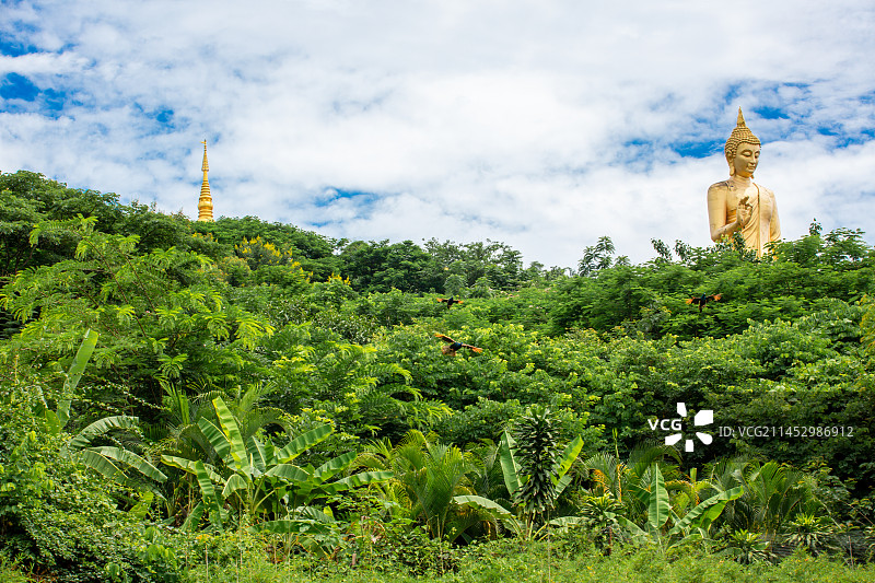 西双版纳 大佛寺 金佛 佛教 大金塔 朝拜 传承 佛教图片素材