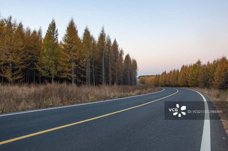 深秋清晨无人的公路图片素材