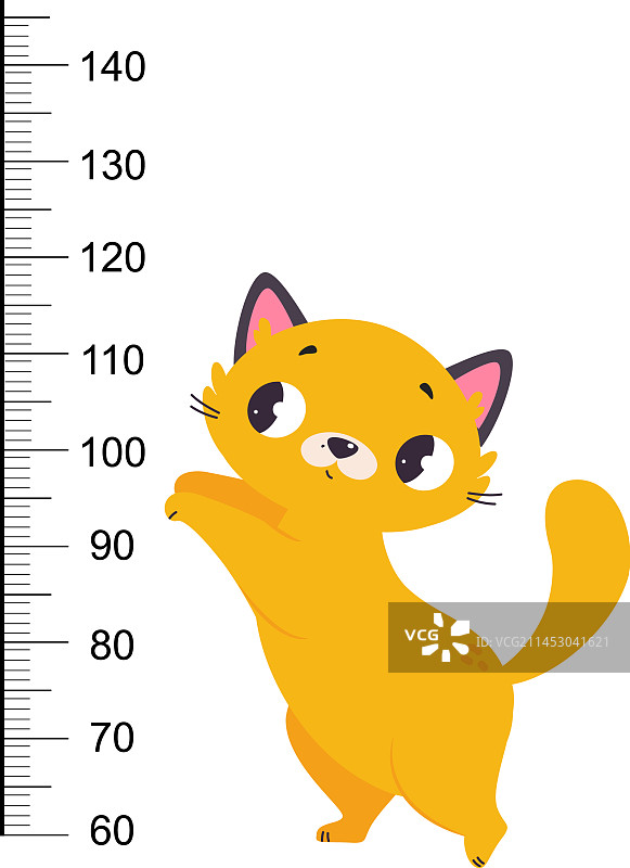 儿童身高尺上的可爱猫咪图片素材