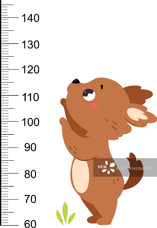 儿童身高小狗成长尺图片素材