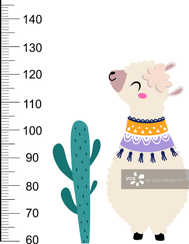 儿童身高拉尺，可爱的美洲驼图片素材