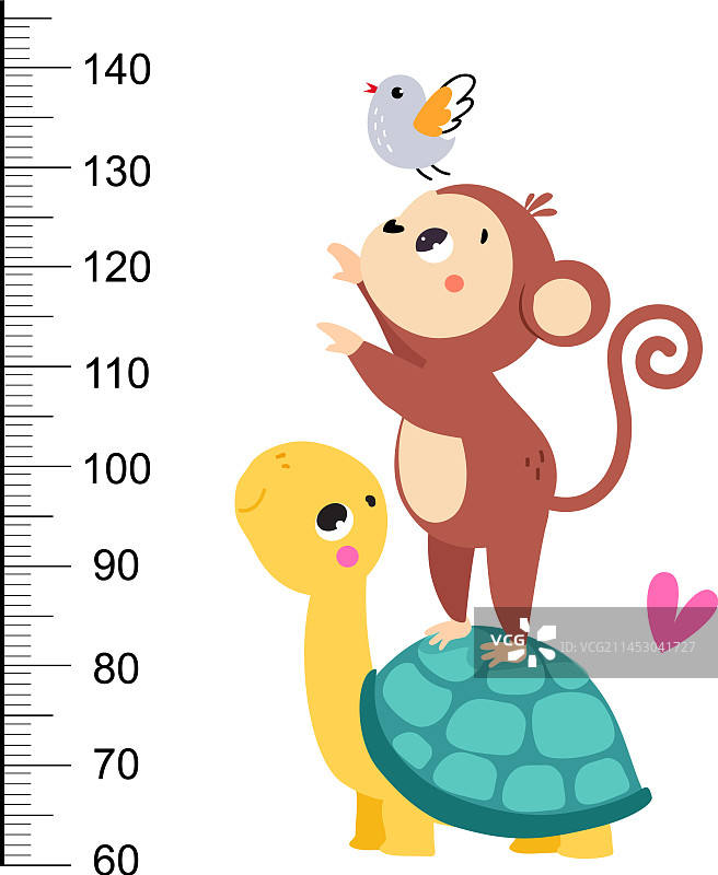 可爱乌龟猴子身高测量尺图片素材
