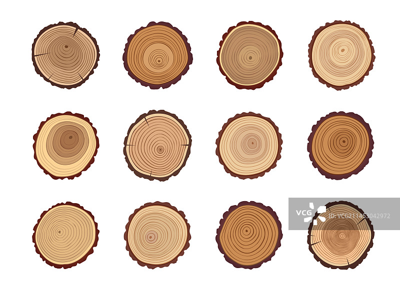 带有年轮的树桩图片素材
