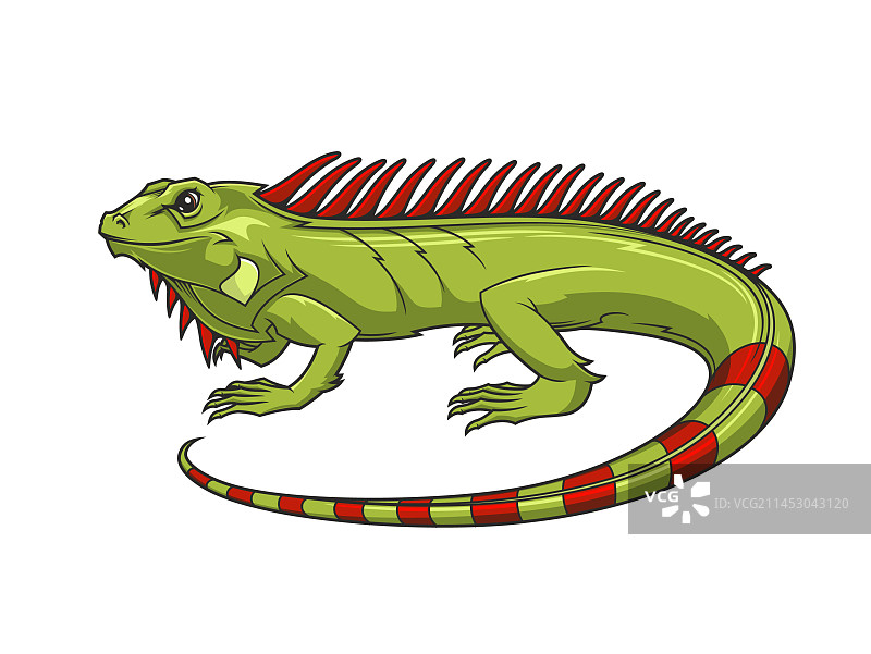 卡通鬣蜥吉祥物：绿色蜥蜴动物图片素材