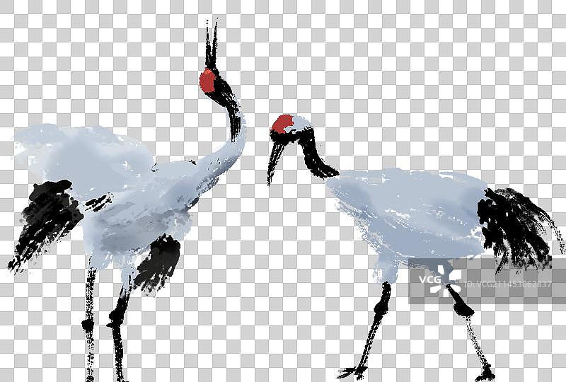 手绘中国的水墨仙鹤丹顶鹤图片素材