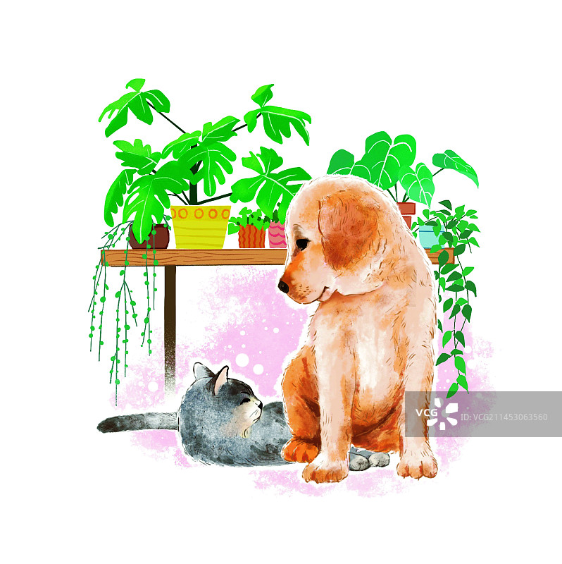 小动物图片素材