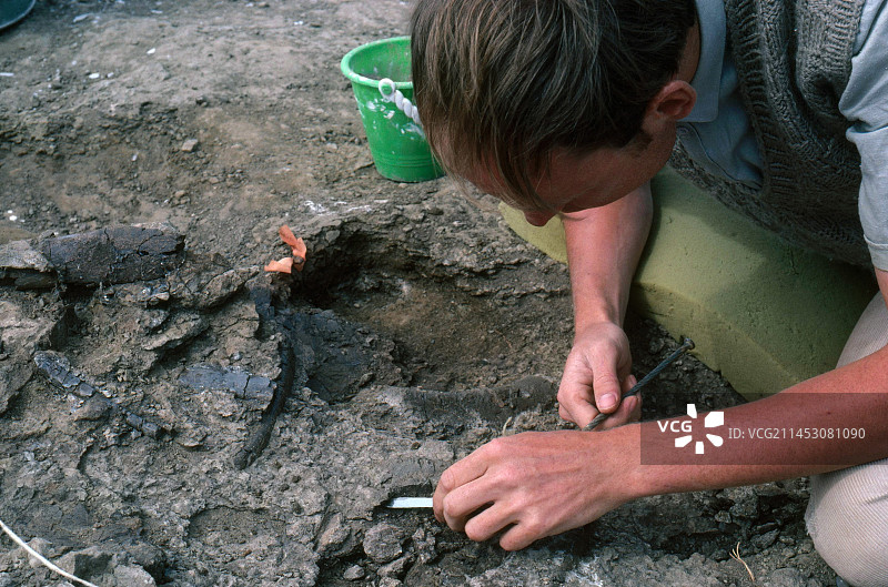 古生物学家图片素材