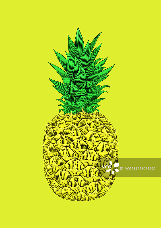 彩色菠萝版画图片素材